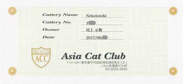 アジアキャットクラブ ACCの仔猫ブリーダー
