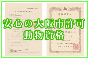 ねこ販売の大阪市許可証 動物ブリーダー資格
